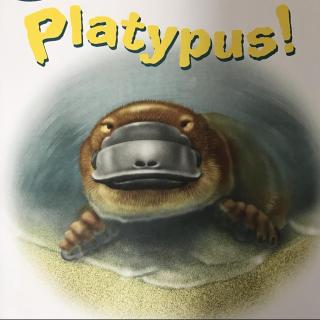 Platypus!-the chant童谣