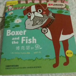 《Boxer and the Fish》