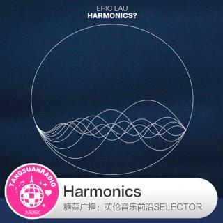 糖蒜爱音乐之The Selector：Harmonics