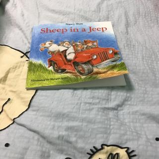 sheep in a jeep p1-27