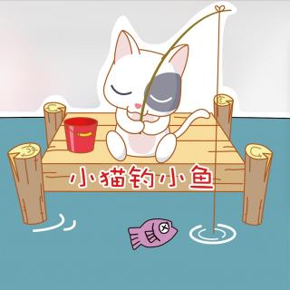 A cat is fishing