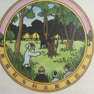 第63章 黑人的土地