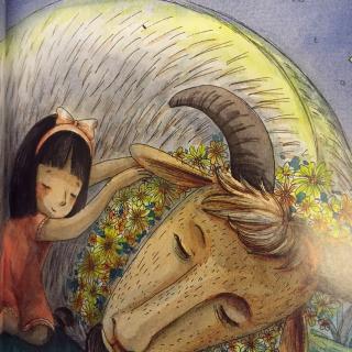 微童话《遇见羊》