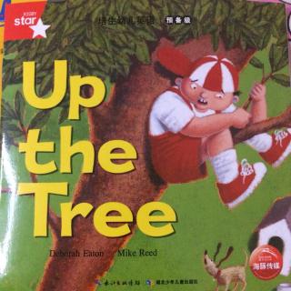 up the tree