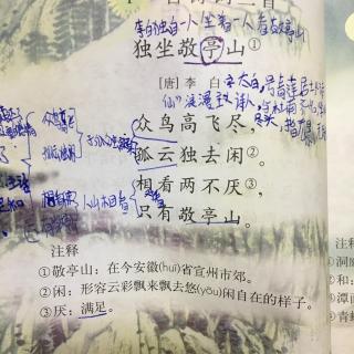 人教版四年级下册1.古诗《独坐敬亭山》