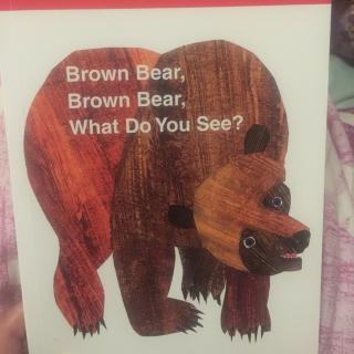 brown bear brown bear what do you see？