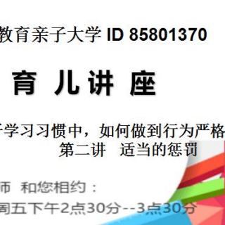 善和老师《培养孩子好习惯，如何做到语言柔和，行为严格。》第二