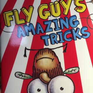 Fly guy's amazing tricks