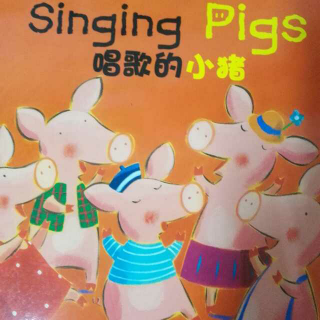 singing  pigs