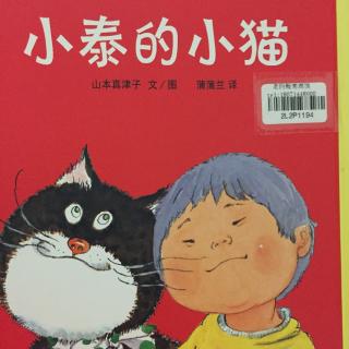 小泰的小猫