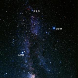 十万个为什么-神秘宇宙-牛郎星和织女星能相会吗？