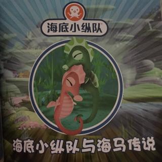 海底小纵队与海马传说