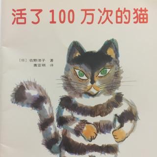 活了100万次的猫