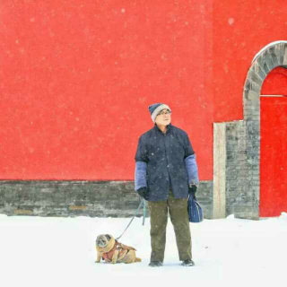 这场雪下得如此认真