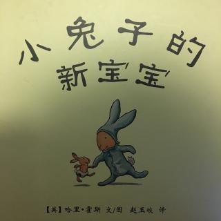 小兔子的新宝宝