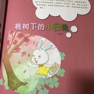 113【春天的童话】桃树下的小白兔