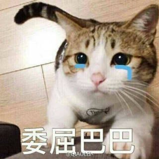 闲来无事，王八念经