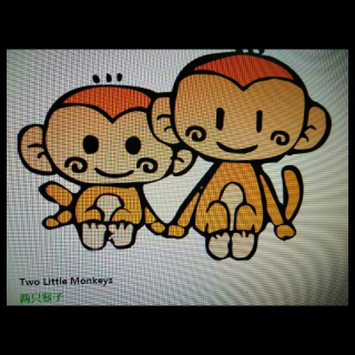两只猴子🐵