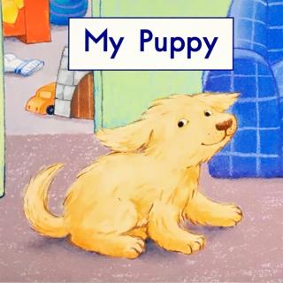 G1 book26 My puppy