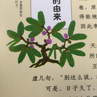 含羞草的由来