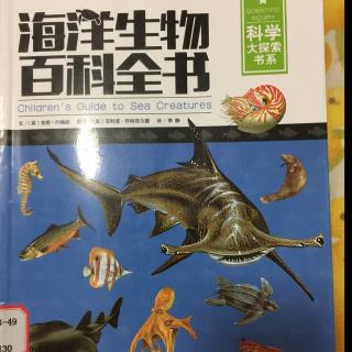 海洋生物百科全书2