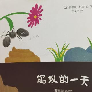 绘本《蚂蚁的一天》