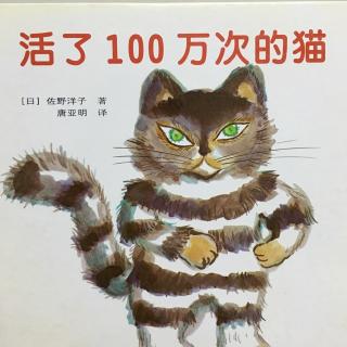 活了一百万次的猫