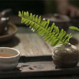 【一叶知心·茶相茶味】第三章 品一盏“清幽茶”-影响茶质因子