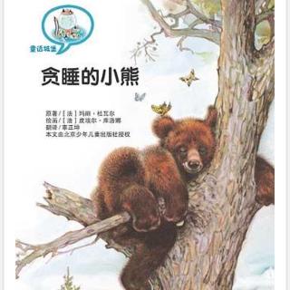 贪睡的小熊🐻