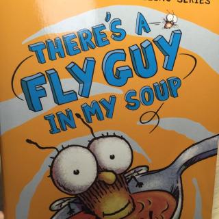 There's a fly guy in my soup