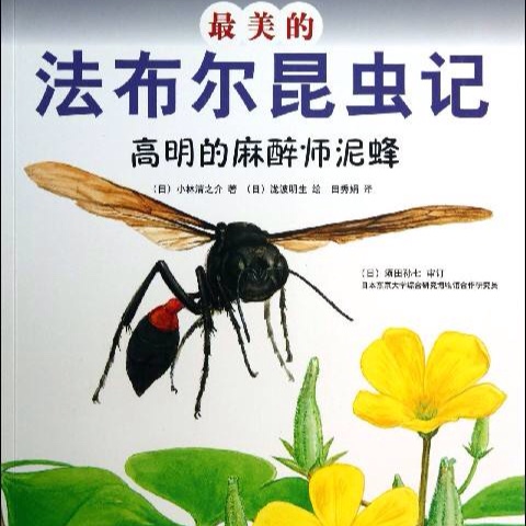 法布尔昆虫记——泥蜂