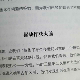 稀缺俘获大脑