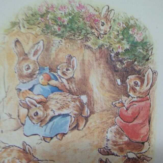 弗洛普茜家的小兔子