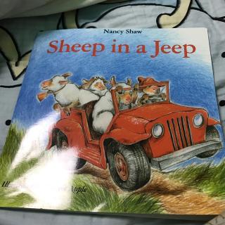 sheep in a jeep review 3