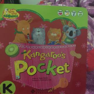 kangaroo's pocket