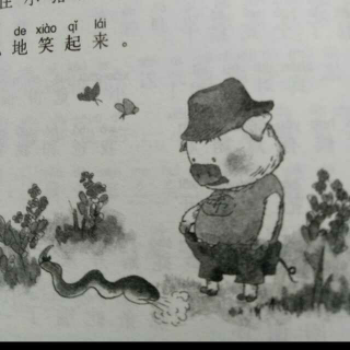 《小猪🐷唏哩呼噜上》四1《小猪怎样认识了一条蛇》