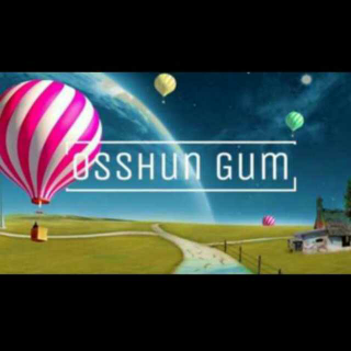 Osshun waves- Osshun Gum(崔和民)