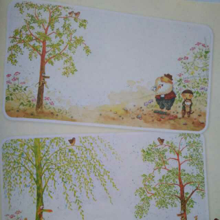 小柳树和小枣树