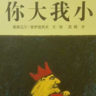 你大我小