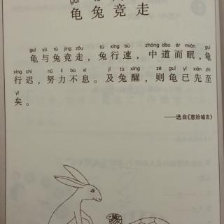 第12课龟兔竞走
