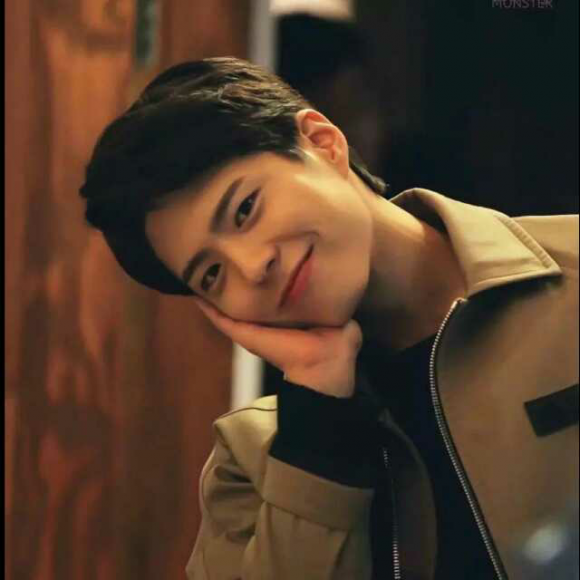 flightless bird,american mouth