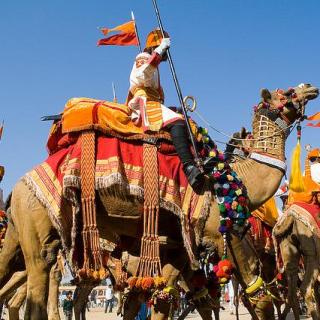 驻下英语Level3/ Jaisalmer Desert Festival (1)