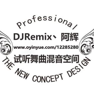 2016热门中文舞曲混音DJRemix丶阿辉