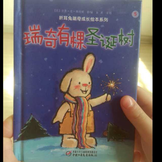 折耳兔瑞奇系列—瑞奇有棵圣诞树🎄