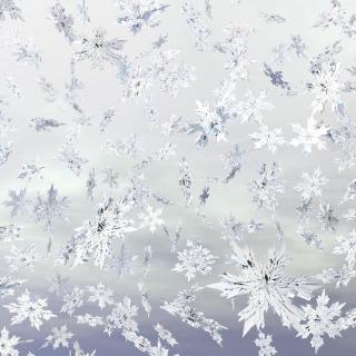 《如果我是一片雪花》