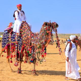 驻下英语 Level 3/ The Jaisalmer Desert festival (2)