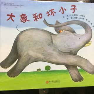 大象和坏小子