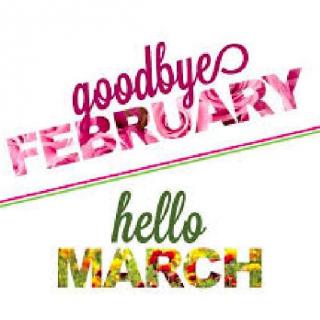 [分享]2月,Goodbye!3月,Hello!Otto✨九天星光💫陪伴·精进·惊喜