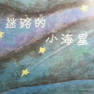 《迷路的小海星（下）》--小龙妈妈