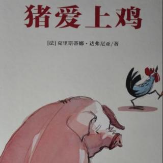 绘本故事《猪爱上鸡》